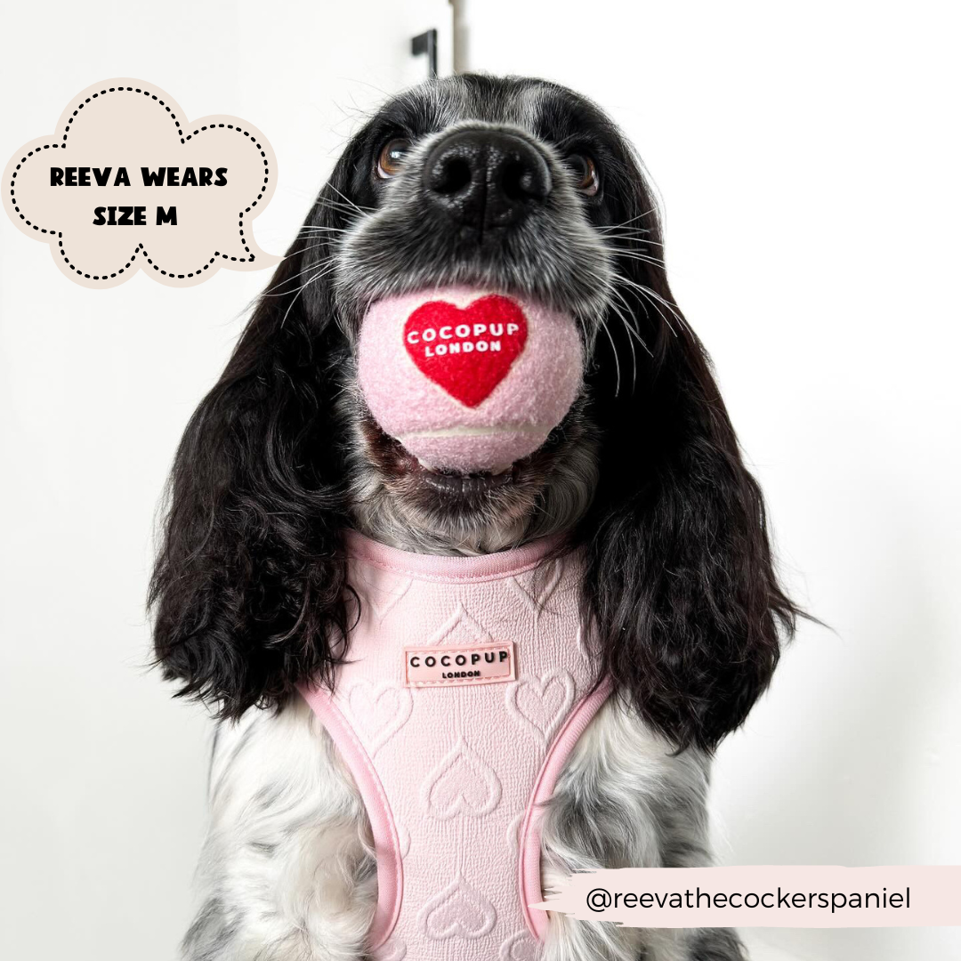 Luxe Adjustable Neck Harness - Baby Pink Heart: