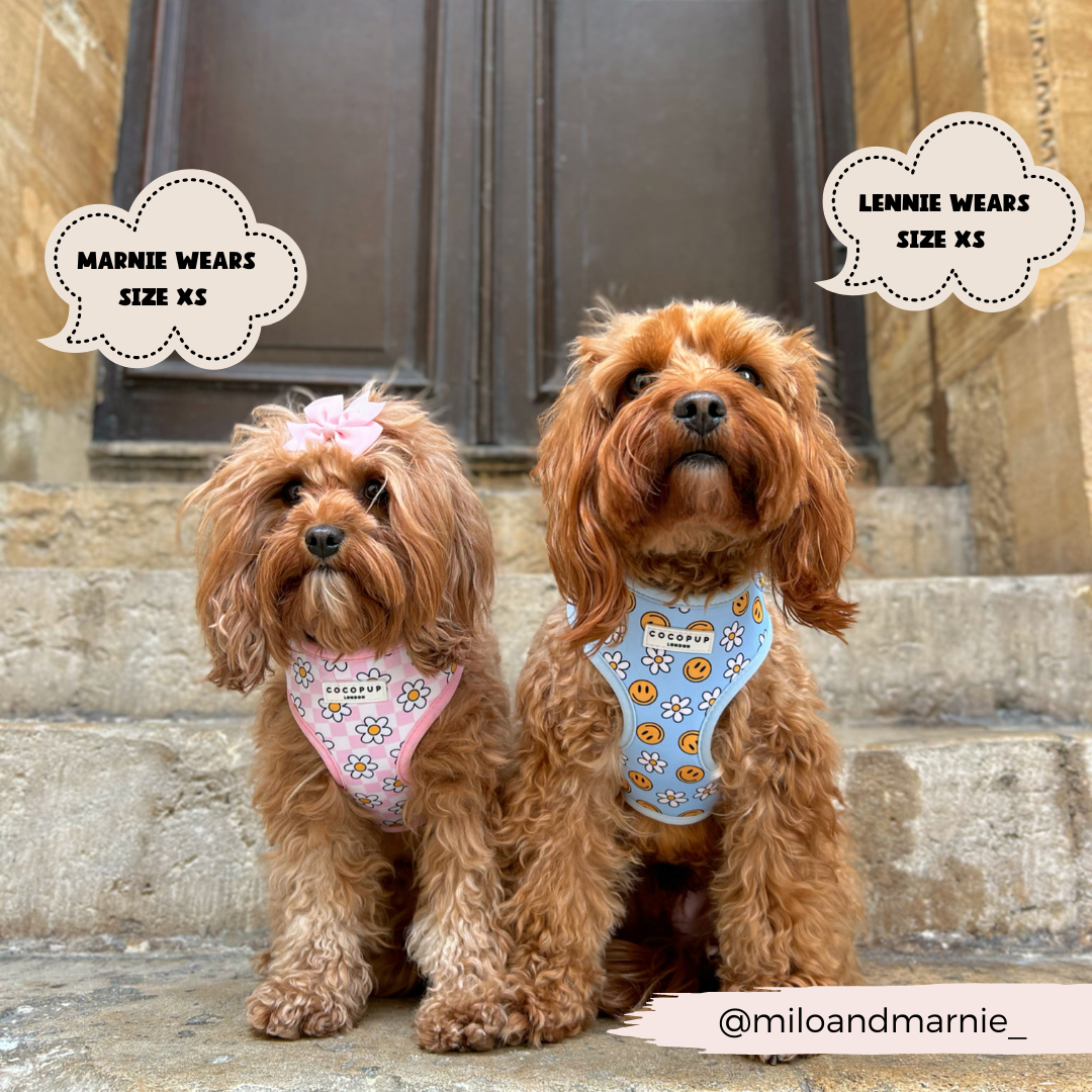 Daisy Gingham Rave Adjustable Neck Harness: