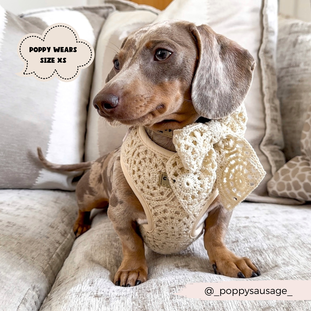 Festival Crochet Adjustable Neck Harness: