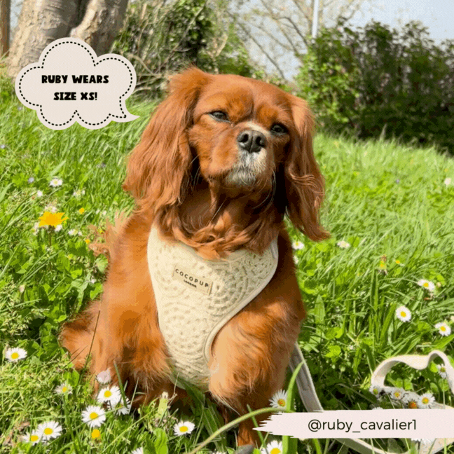 Festival Crochet Adjustable Neck Harness: