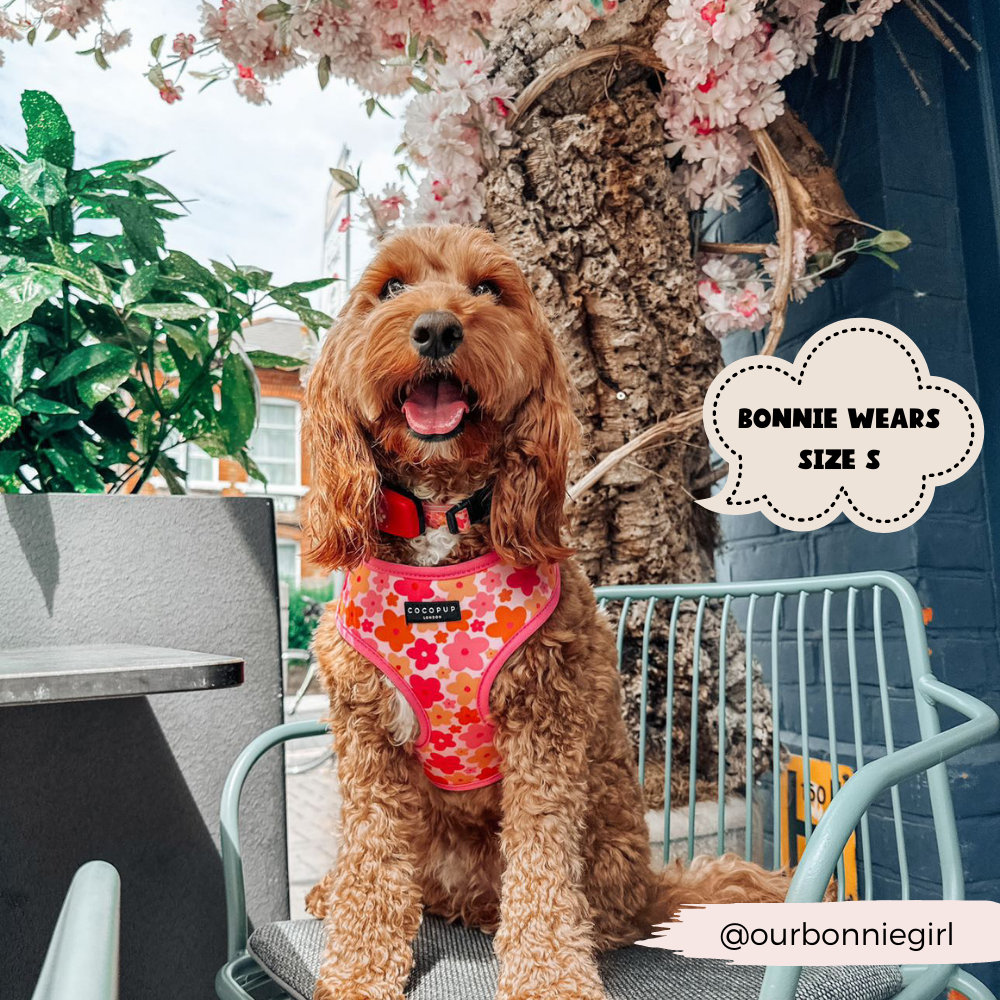 Summer Bloom Adjustable Neck Harness: