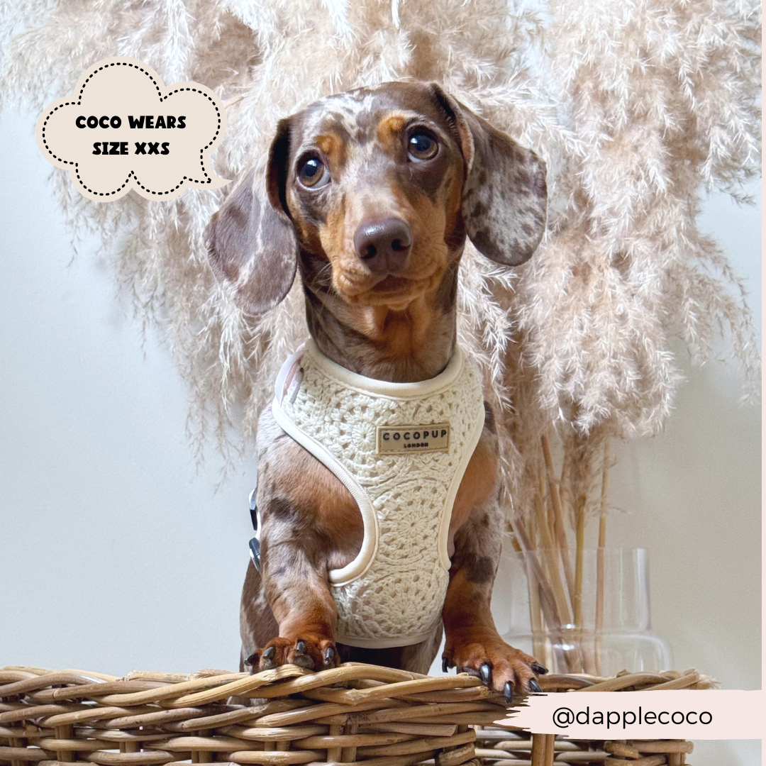 Festival Crochet Adjustable Neck Harness: