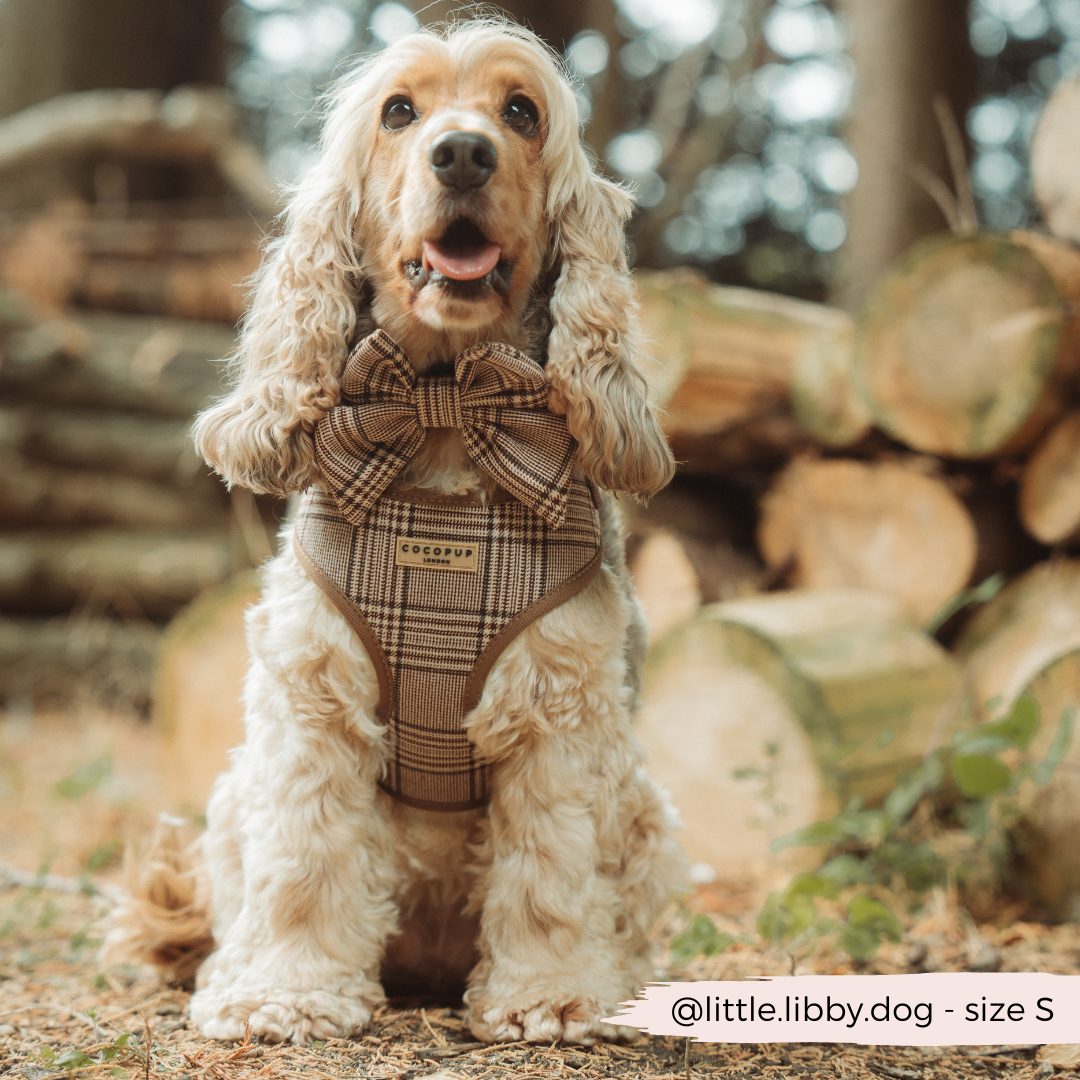 Pup Plaid Adjustable Neck Harness: