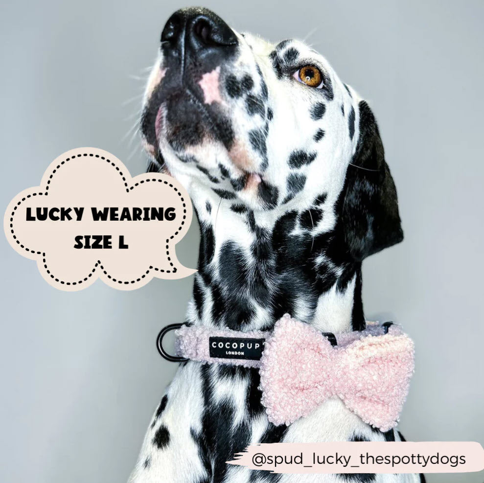 Dog Collar - Cocopup - TEDDY - Love - A - Lot
