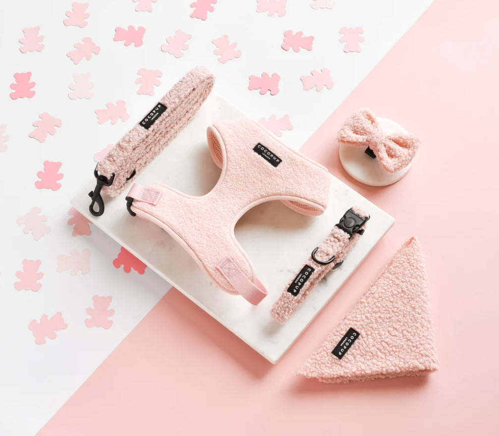 Dog Lead - Cocopup - TEDDY - Love-A-Lot