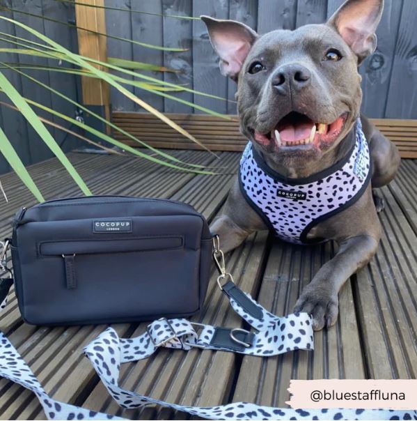 Bag Strap - Adjustable - Mono Spots