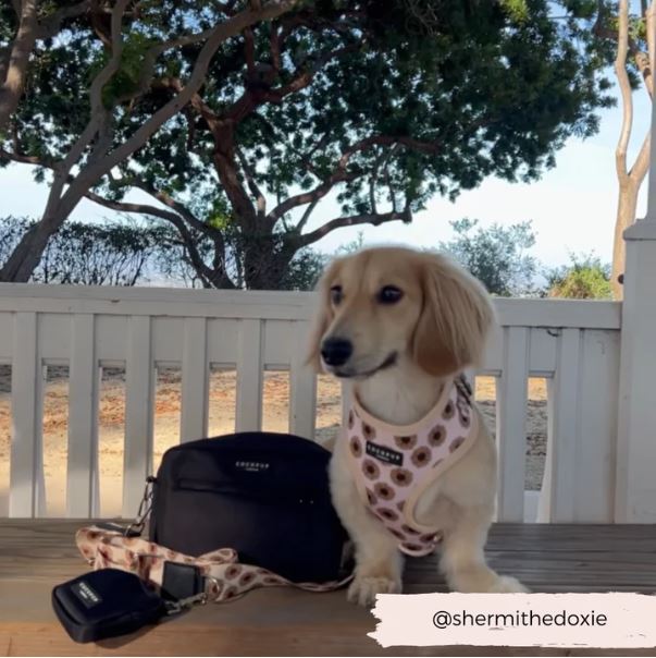 Bag Strap - Adjustable - Sunflowers