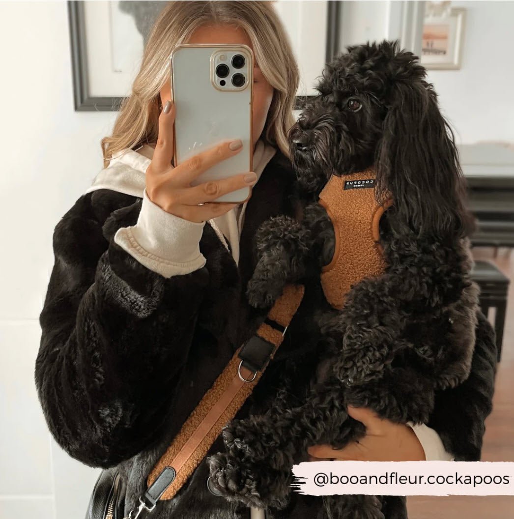 Bag Strap - Adjustable - TEDDY - Paddington - Milly & Me Pet Wear