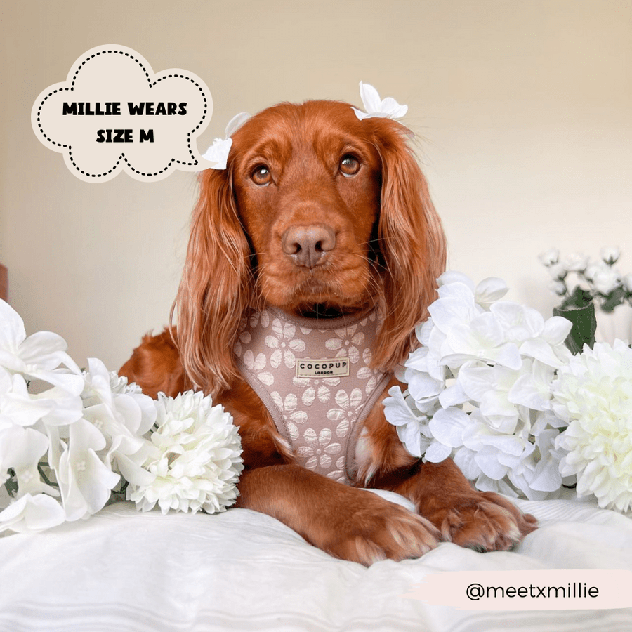 Dog lead - Cocopup - LUXE - Mocha flower - Milly & Me Pet Wear
