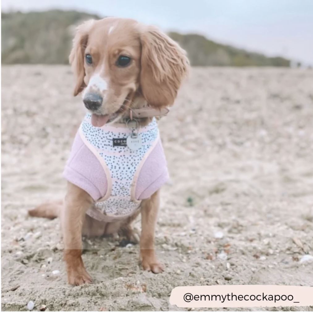 Dog Harness - Adjustable - Pink Dalmation