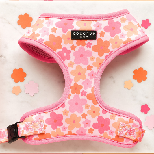 Summer Bloom Adjustable Neck Harness: