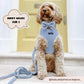 Dog Harness - Adjustable -Teddy - Day Dream