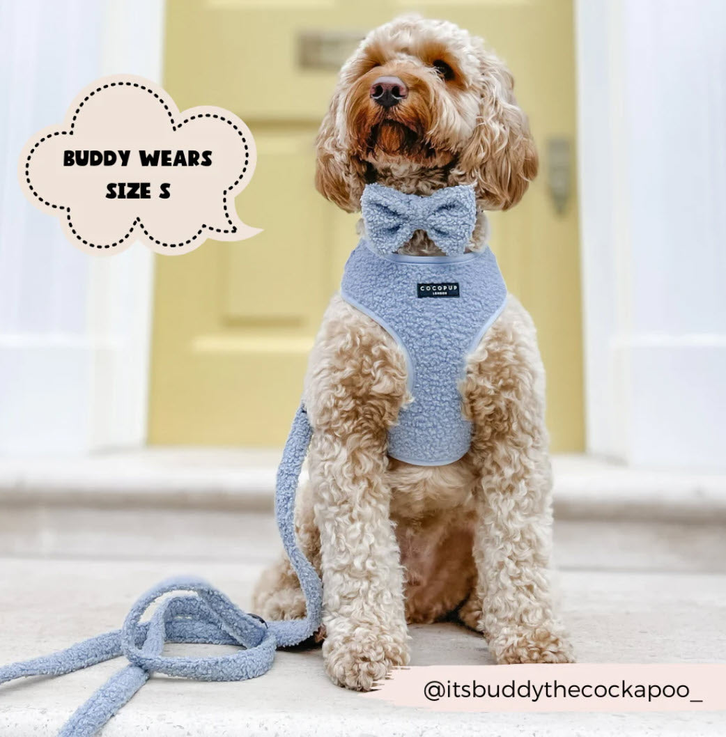 Dog Harness - Adjustable -Teddy - Day Dream