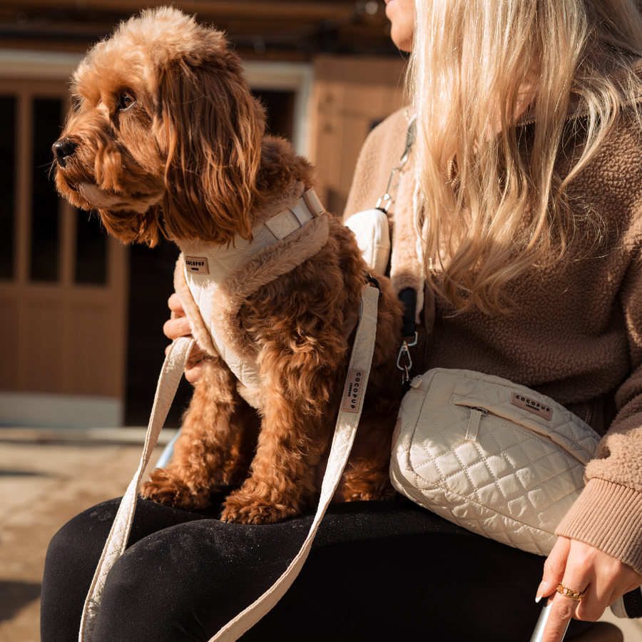 Dog Harness - Adjustable - Quilted