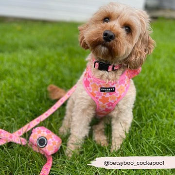 SUMMER BLOOM POOP BAG HOLDER