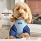 Dog Harness - Adjustable -Teddy - Day Dream