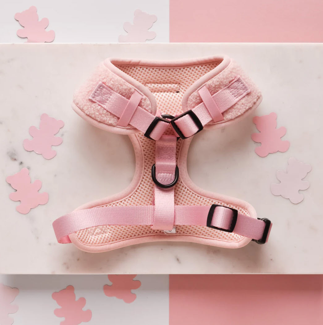 Dog Harness - Adjustable - Teddy - Love-a-Lot