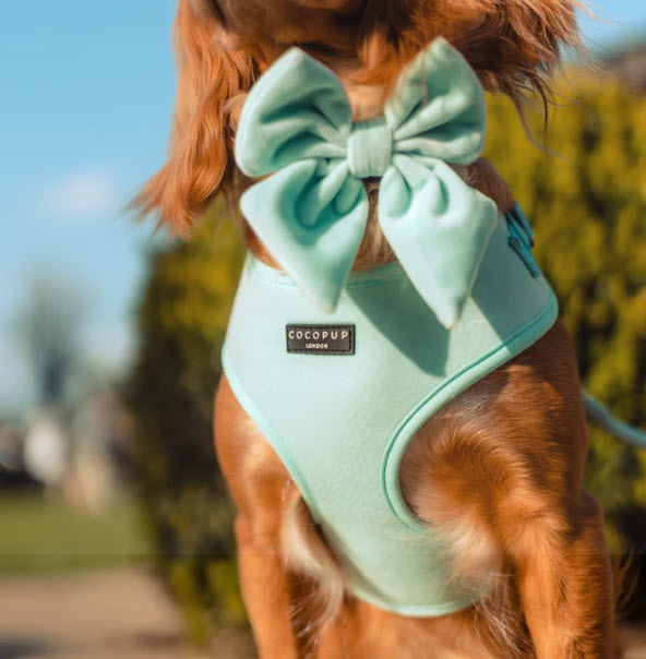 Bow Tie - LUXE SAILOR Velvet - Royal Turquoise