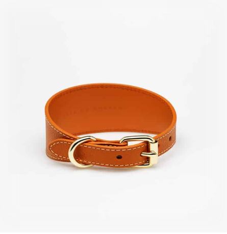 Dog Collar - Leather - Wide - Cognac