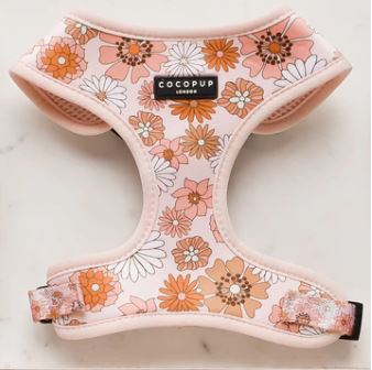 Dog Harness - Adjustable  - Groovy Floral