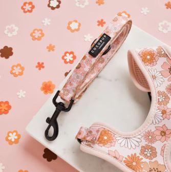 Dog Lead - Cocopup - Groovy Floral