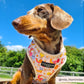 Dog Harness - Adjustable - Happiness