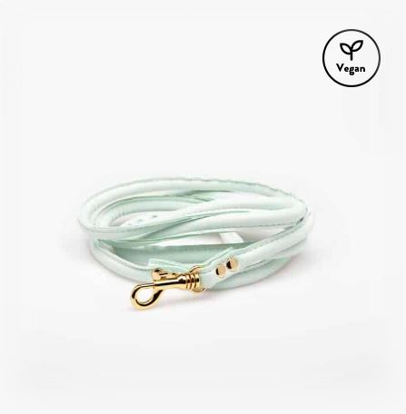 Dog Lead - Vegan -  Mint