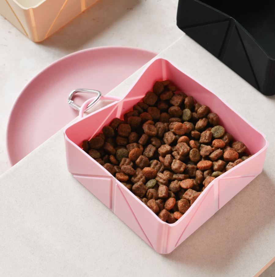 Foldable Travel Bowl -Pink