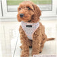 Dog Harness - Adjustable - Pink Dalmation