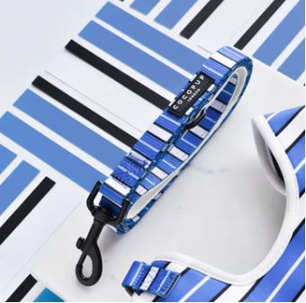 Dog Lead - Cocopup - Blue Stripe