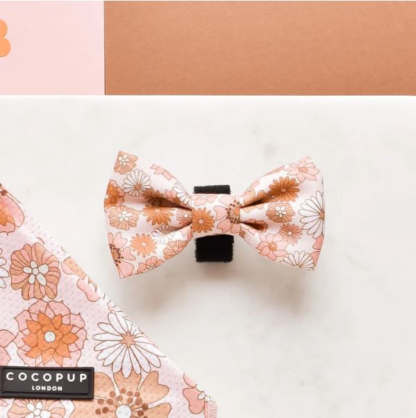 Bow Tie - Groovy Floral - Milly & Me Pet Wear