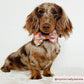 Bow Tie - Happiness - Milly & Me Pet Wear