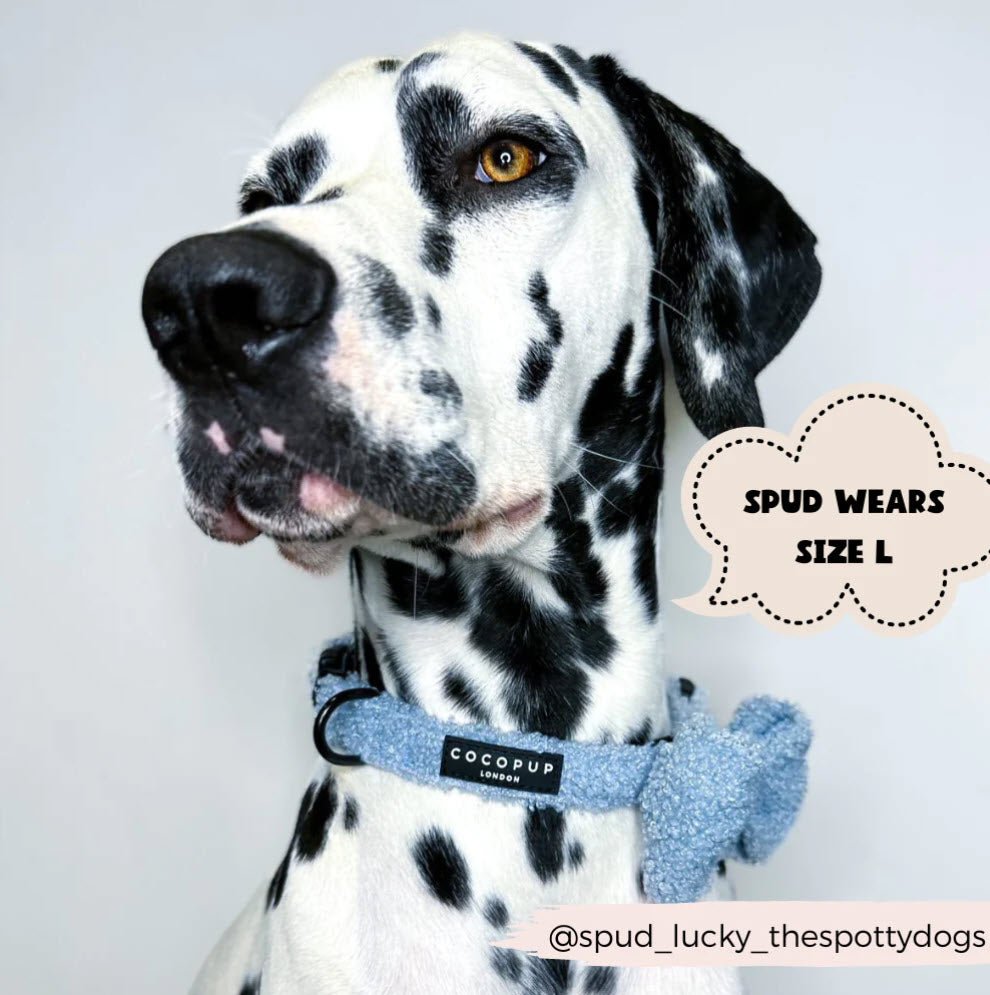 Bow Tie - TEDDY - Day Dream - Milly & Me Pet Wear