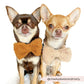 Bow Tie - TEDDY - Rupert - Milly & Me Pet Wear