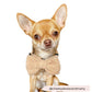 Bow Tie - TEDDY - Rupert - Milly & Me Pet Wear