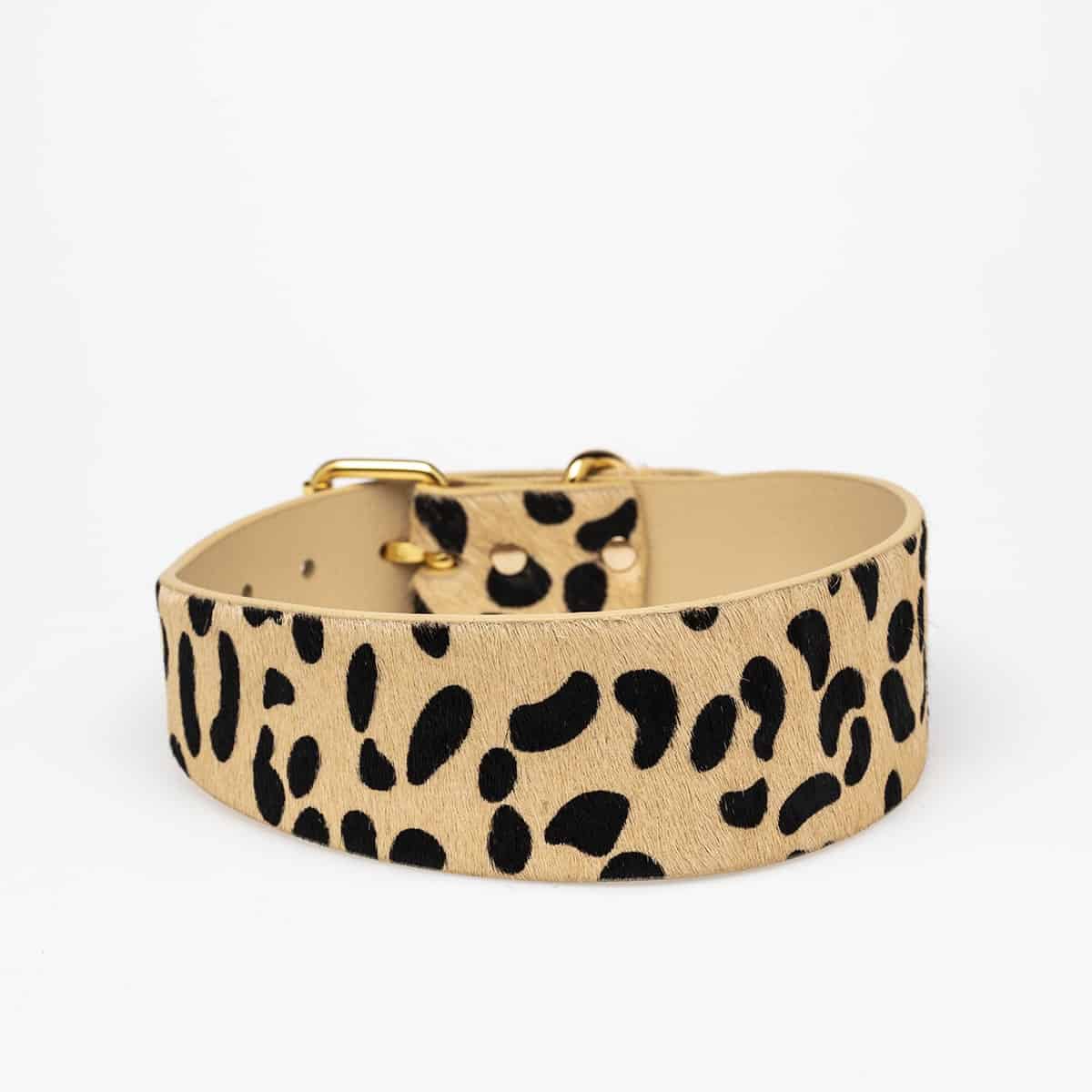 Dog Collar - Leather - Wide - Leopard