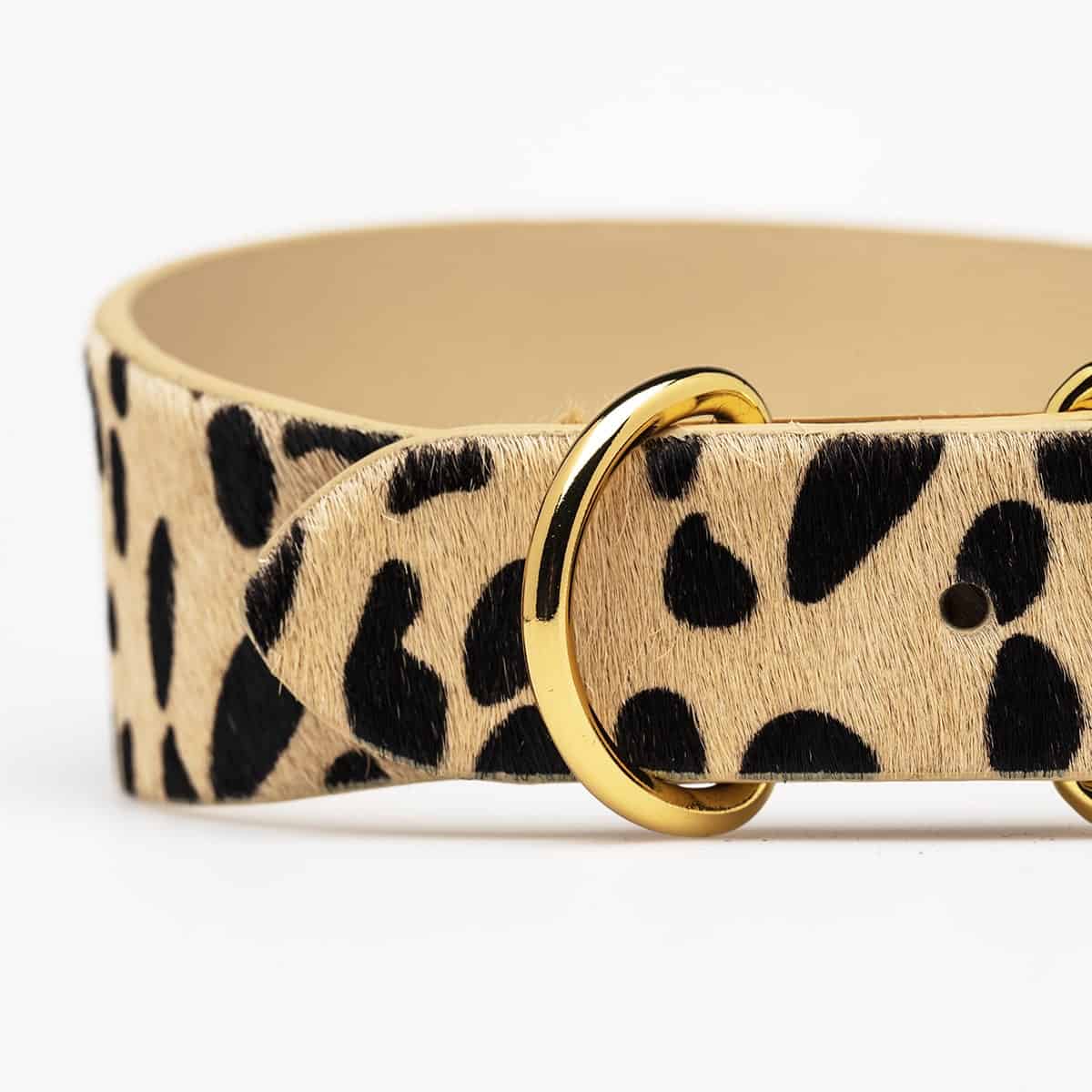 Dog Collar - Leather - Wide - Leopard