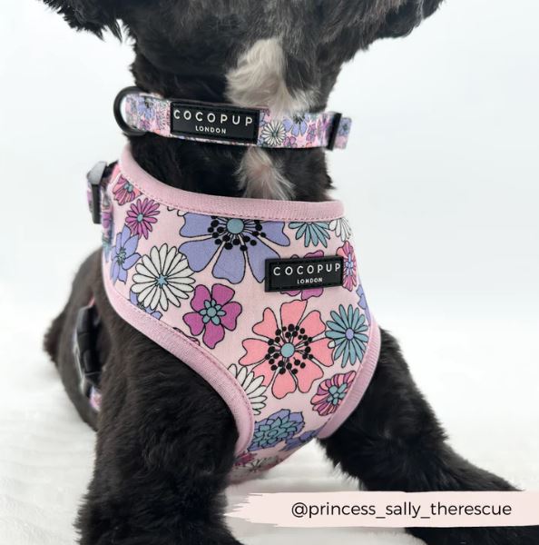 Dog Collar - Cocopup - Pastel Flowers - Milly & Me Pet Wear