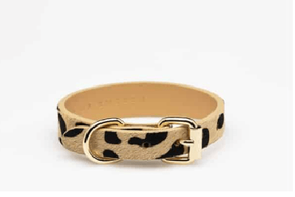 Dog Collar - Leather - Thin - Leopard - Milly & Me Pet Wear