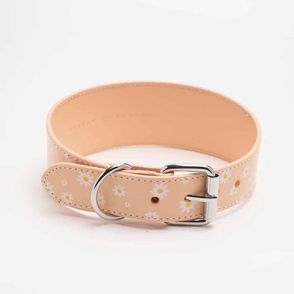 Dog Collar - Leather - Wide - Daisy - Milly & Me Pet Wear