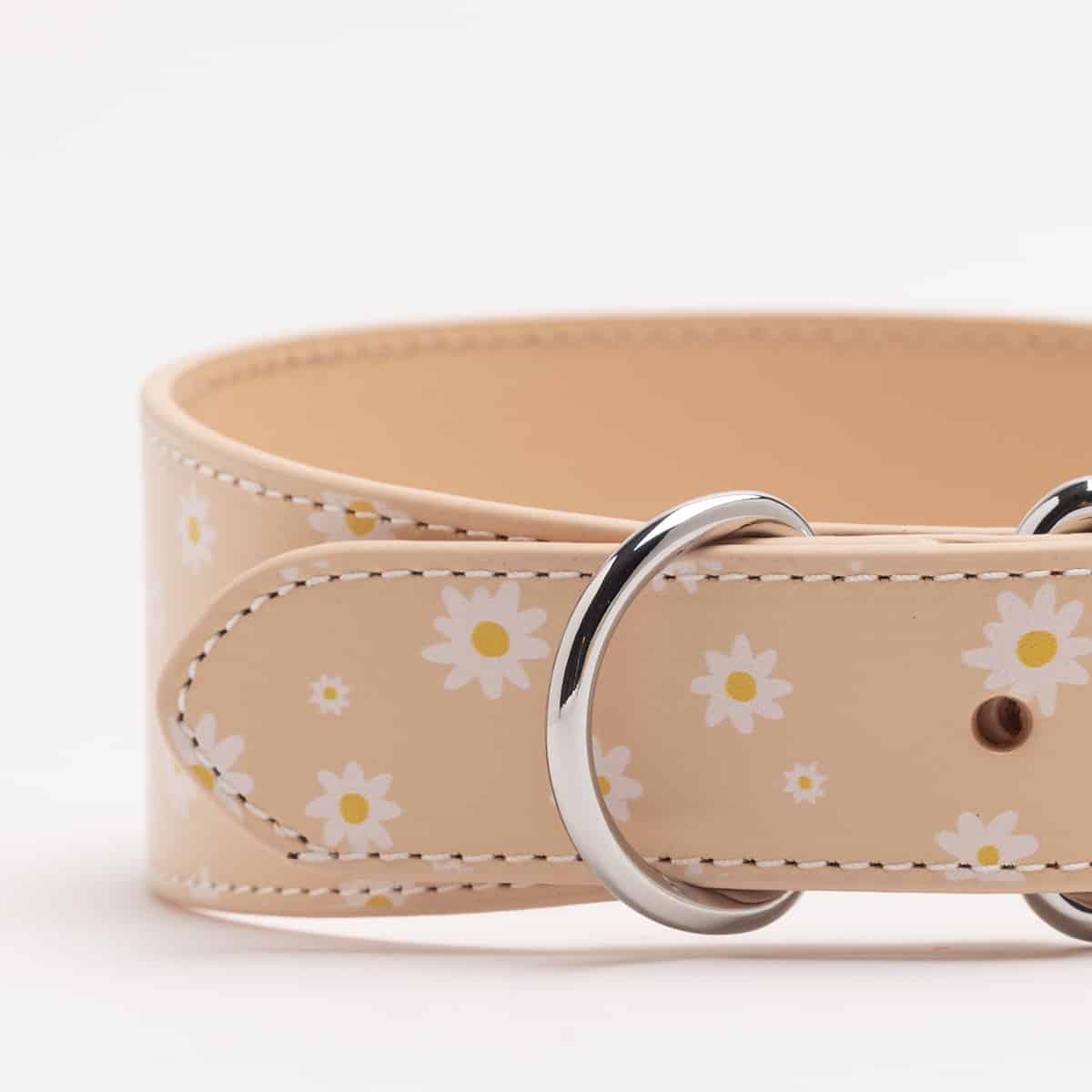 Dog Collar - Leather - Wide - Daisy - Milly & Me Pet Wear