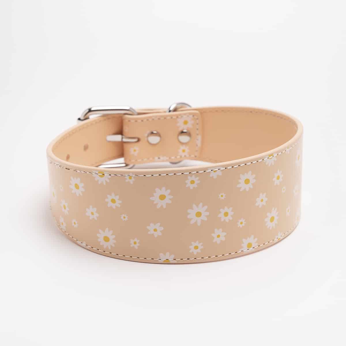 Dog Collar - Leather - Wide - Daisy - Milly & Me Pet Wear