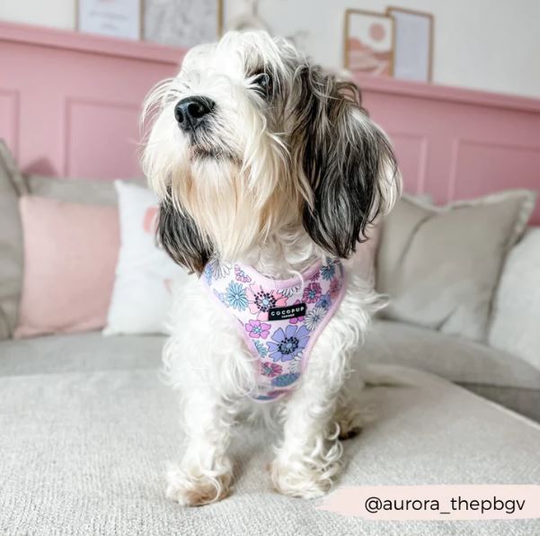 Dog Harness - Adjustable - Pastel Flowers - Milly & Me Pet Wear