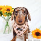 Dog Harness - Adjustable - Sunflowers - Milly & Me Pet Wear