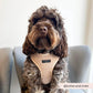 Dog Harness - Adjustable - Teddy - Rupert - Milly & Me Pet Wear