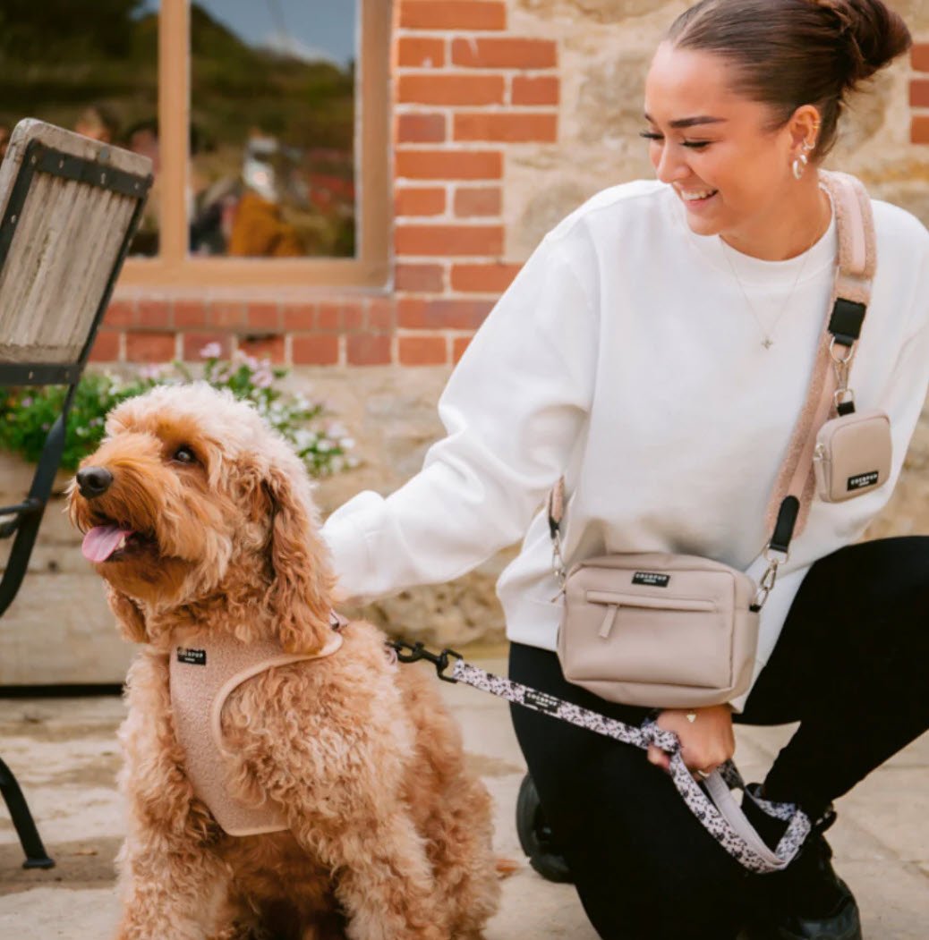 Dog Harness - Adjustable - Teddy - Rupert - Milly & Me Pet Wear