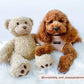 Dog Harness - Adjustable - Teddy - Rupert - Milly & Me Pet Wear