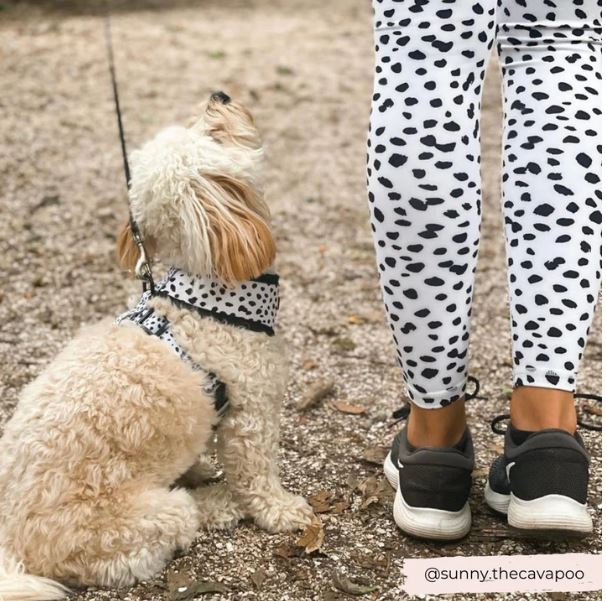 Gymwear - Monochrome Spots Leggings