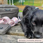 Dog Walking Bag - MEDIUM - Mocha