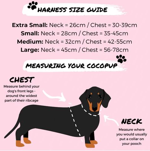 Dachshund 2025 harness size